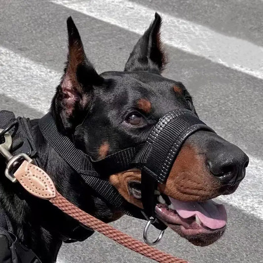 Anti-Bite And Anti-barking Dog Muzzle