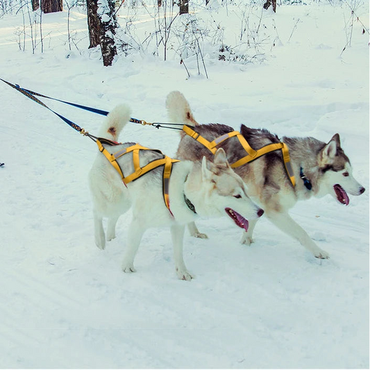 Waterproof Dog Sledding Harness