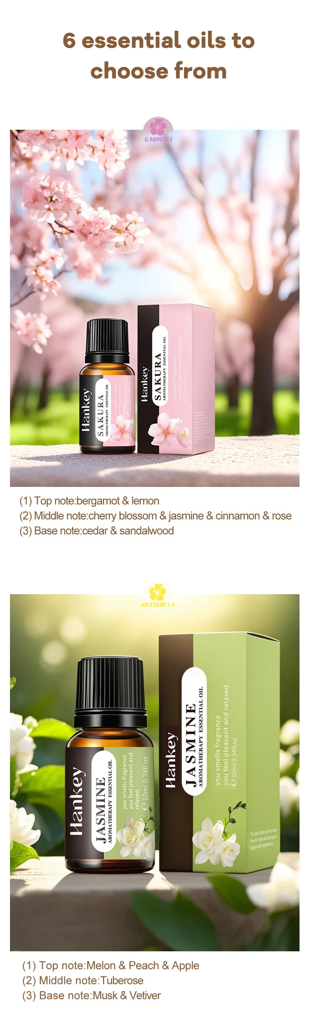 180ml Aromatherapy diffuser Humidifier