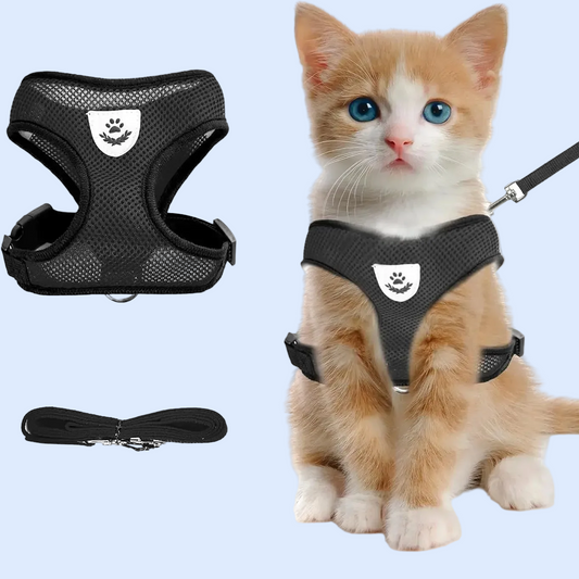 Cat Chest Harness and Leash Set