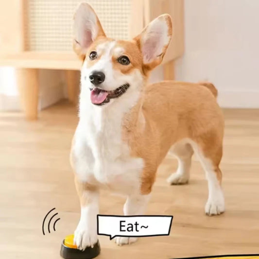 Pet Recordable Speaking Buttons.