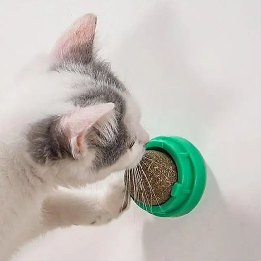 Catnip Cat Wall Stick-on Ball Toy
