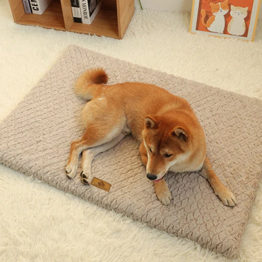 Anti-Slip Bottom Dog Beds