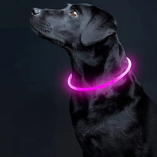 Usb Light Night Safety Pet Glowing Collar