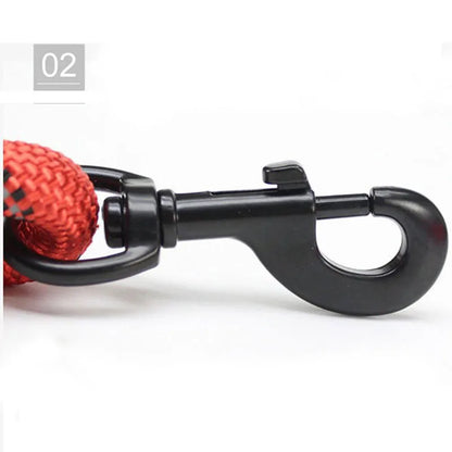 Reflective Dog Leash With Comfortable Padded Handle
