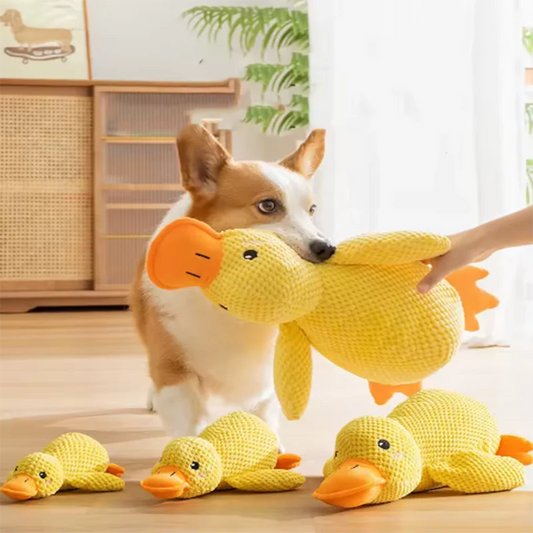 Dog Duck Squeak Toys