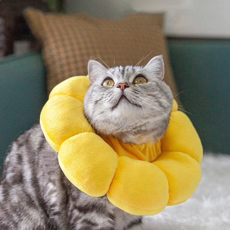 Soft Plush Cat Protection Collar