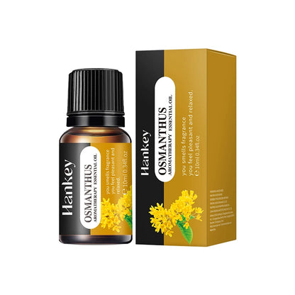 180ml Aromatherapy diffuser Humidifier
