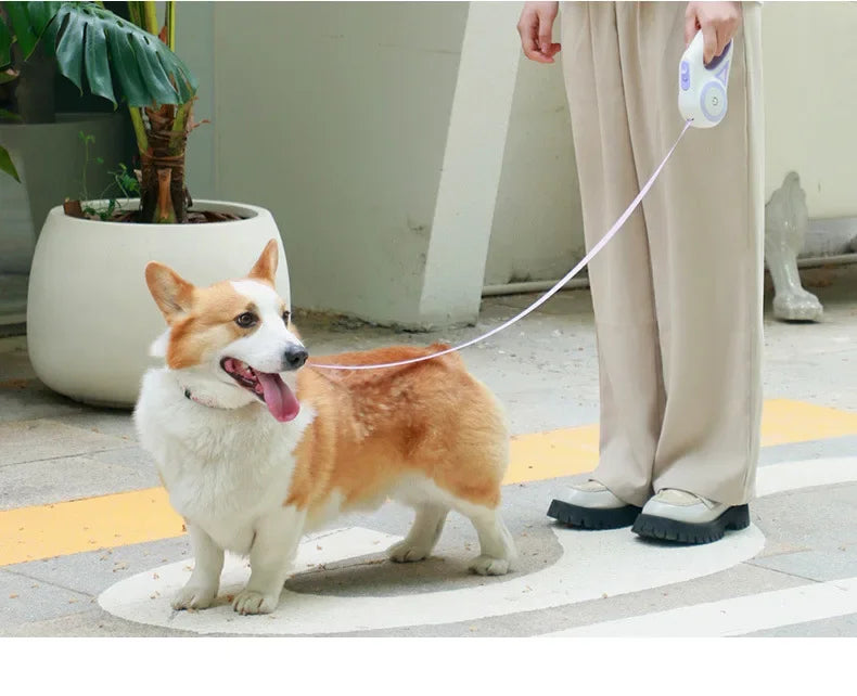 LED Retractable Dog Leash with light