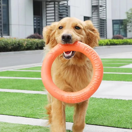 Pet Flying Training Disk Toys.