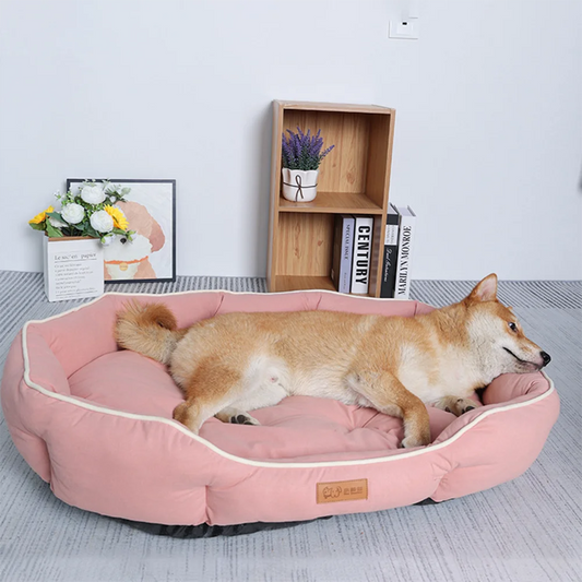 Pet Sofa Sleeping Large Bed