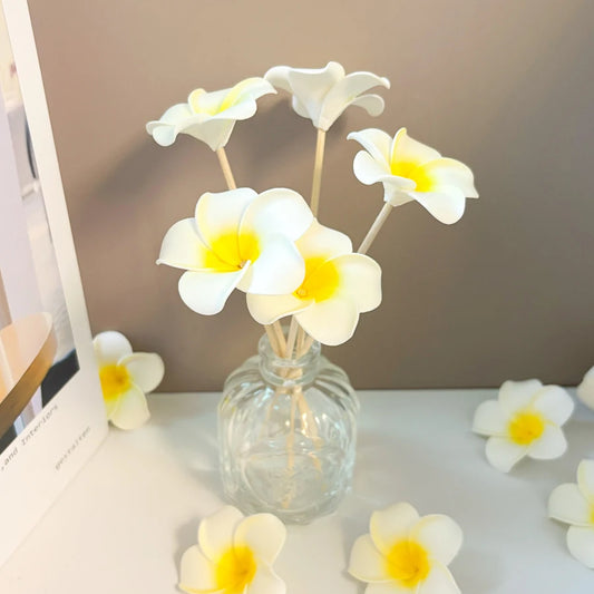 3/10pcs Rattan Aromatherapy Sticks