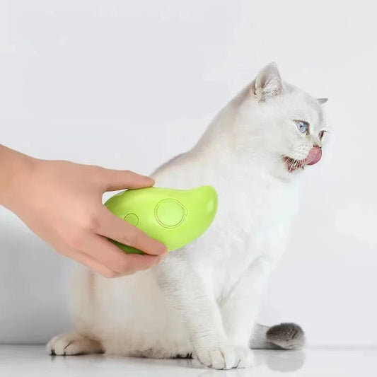 3 in 1 Electric Spray Cat Hair Brushes