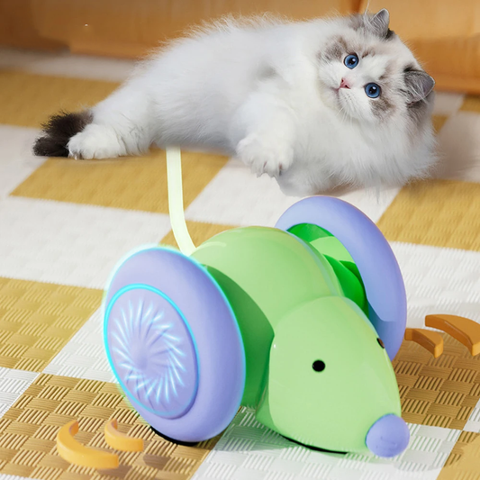 Running Cars, Mice, Cat Teasing Electric Toys.